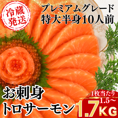 プレミアムグレード お刺身トロサーモン 特大半身 1枚1.5〜1.7kg 冷蔵発送
