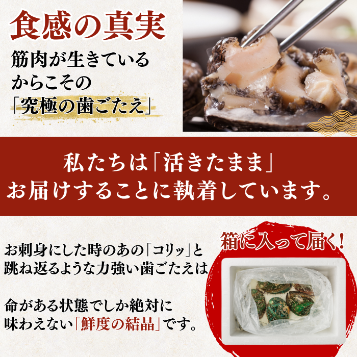 あわび 究極の歯ごたえ 刺身にした時の食感