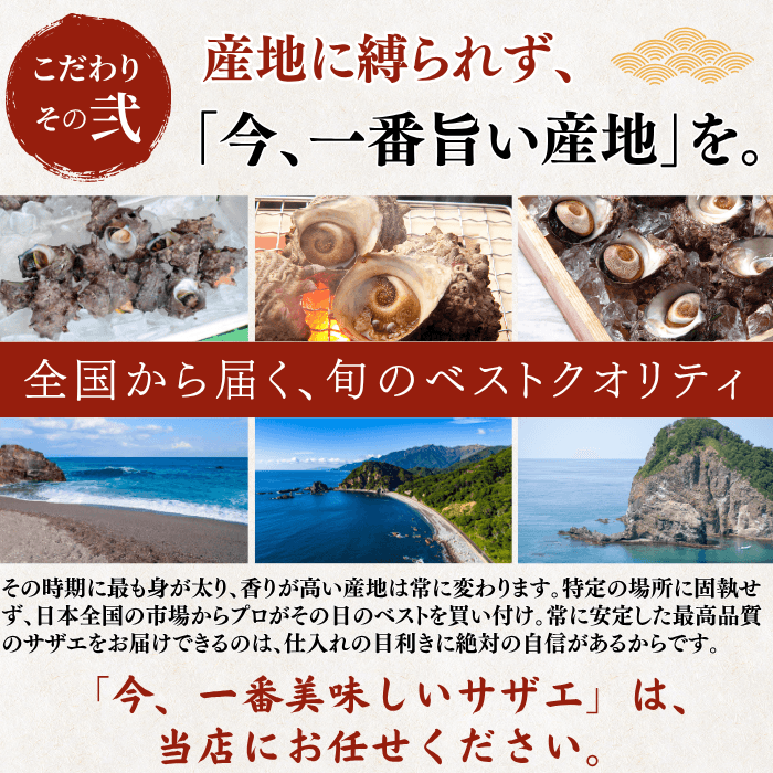 【BBQセット/貝づくし】ハマグリ/サザエ/あわび