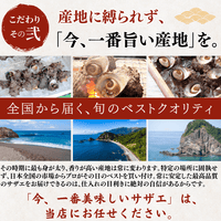 【BBQセット/貝づくし】ハマグリ/サザエ/あわび