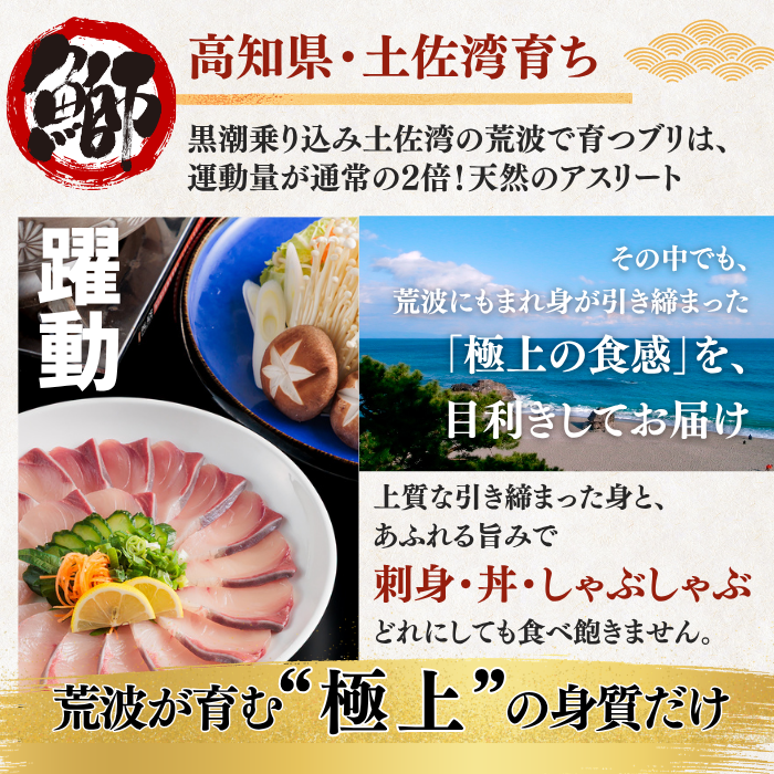 【お刺身セット3種】生カツオのタタキ(1節 or 半節)+ブリ/タイ(各柵150g)