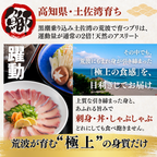 【お刺身セット3種】生カツオのタタキ(1節 or 半節)+ブリ/タイ(各柵150g)