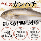 Greater Amberjack <Whole fish, Quantity: 3-4kg>