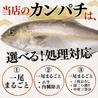 Greater Amberjack <Whole fish, Quantity: 3-4kg>
