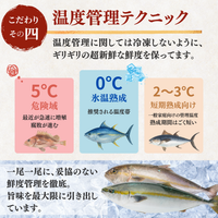 Striped Jack Sashimi ＜1 block, Net Wt. 150g＞