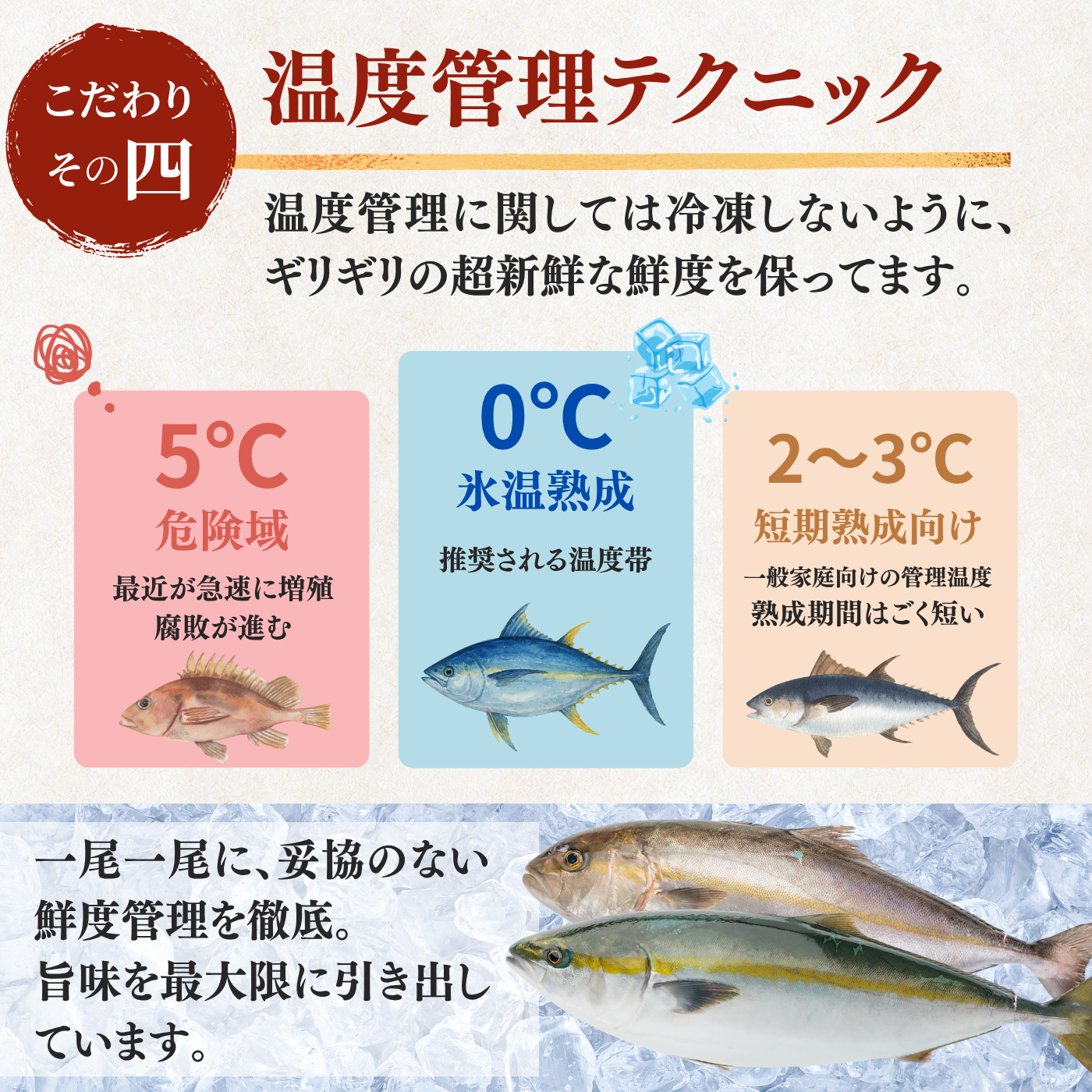 Striped Jack Sashimi ＜1 block, Net Wt. 150g＞