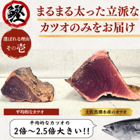 Striped Jack Sashimi ＜1 block, Net Wt. 150g＞