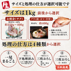 Live-spiked Sea Bream <1kg> - Choose your preferred preparation method