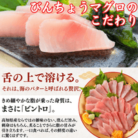 【お刺身セット3種】生カツオのタタキ(1節 or 半節)+ビンチョウマグロ柵/ブリ柵(各150g)