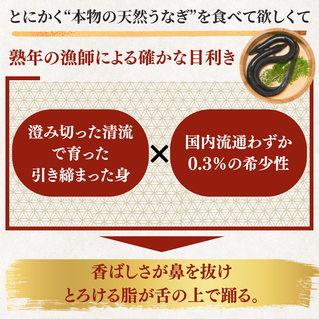 天然うなぎ 白焼き ＜匹数：1~3尾　量：110~480g＞