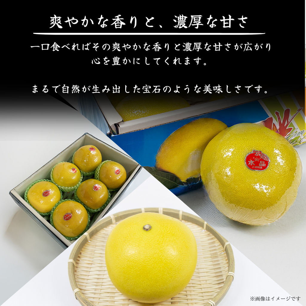 水晶文旦 爽やかな香りと濃厚な甘さ 化粧箱と果実
