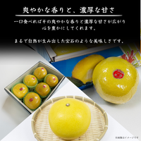 水晶文旦 爽やかな香りと濃厚な甘さ 化粧箱と果実