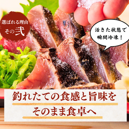 藁焼き -冷凍- 鰹のタタキ　＜本数：半本〜3本セット 量：250~1500g　目安：1~8人前＞