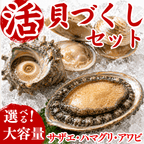 【BBQセット/貝づくし】ハマグリ/サザエ/あわび