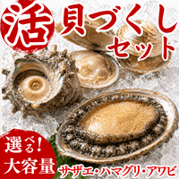 【BBQセット/貝づくし】ハマグリ/サザエ/あわび