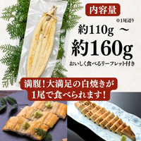 天然うなぎ 白焼き ＜匹数：1~3尾　量：110~480g＞