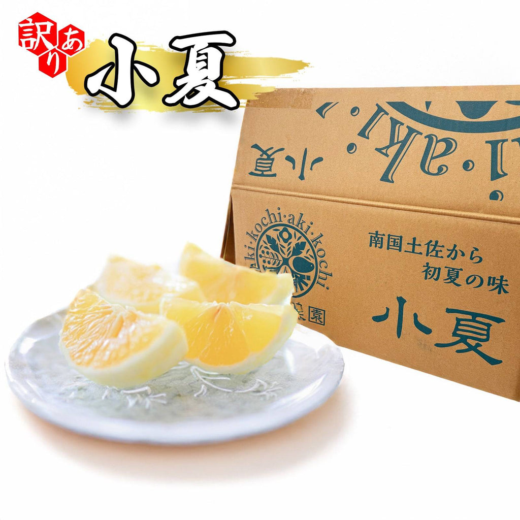 訳あり 小夏 南国土佐から初夏の味 箱と果実
