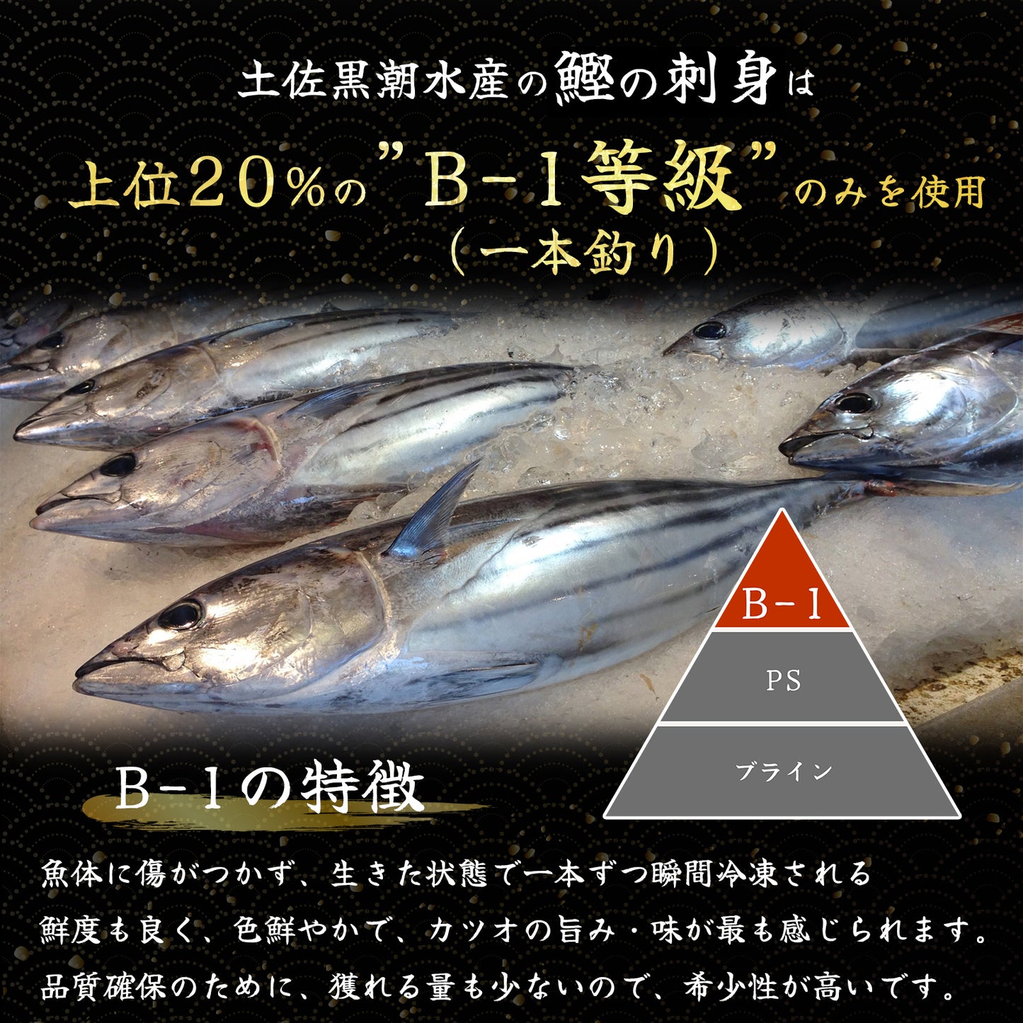 冷凍カツオの刺身　＜本数：半本(×2)〜3本セット　量：500~1500g　目安：2~9人前＞
