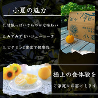 小夏の魅力 甘酸っぱさわやかな味わい みずみずしいジューシーさ ビタミンC