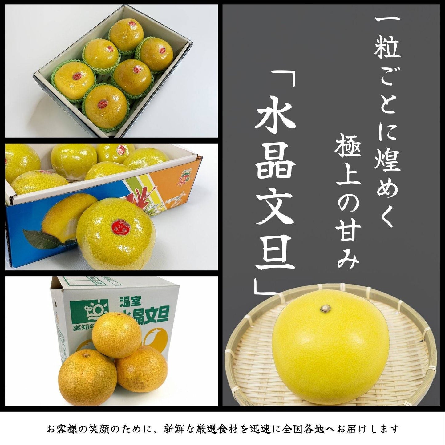 【訳アリ】水晶文旦 ＜量：5kg or 10kg＞