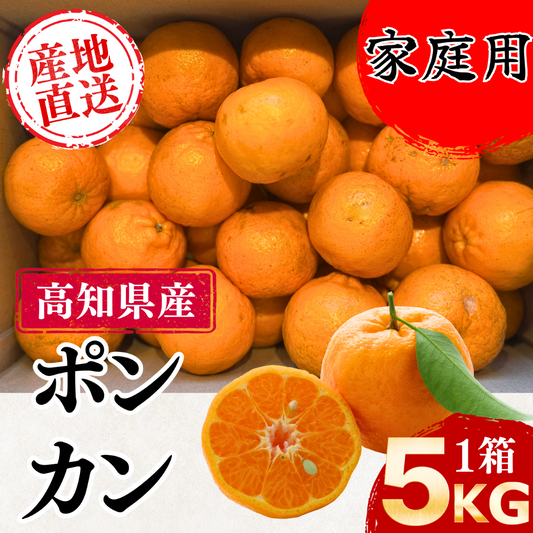 ポンカン 【訳アリ】＜量：5kg＞