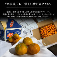 山北みかん 手軽に楽しむ優しい甘さ 箱と果実