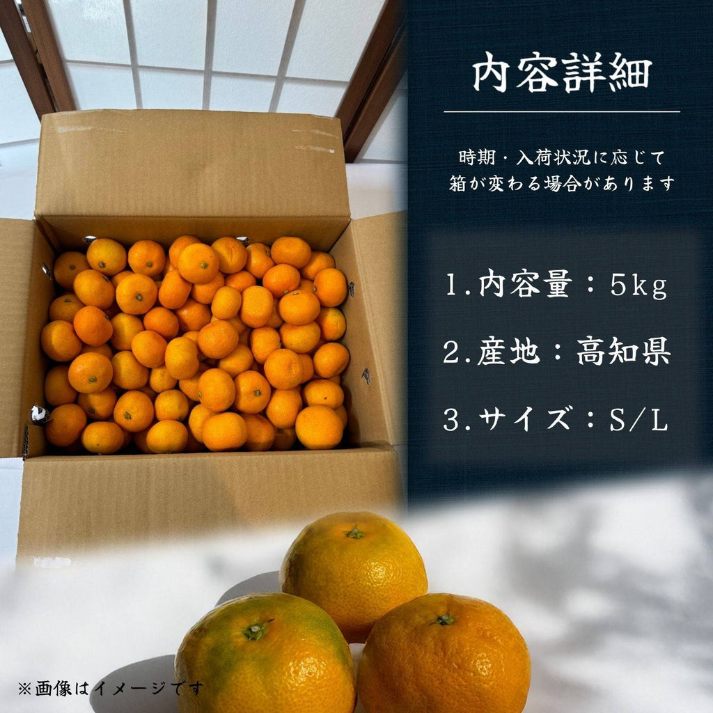 山北みかん 内容詳細 内容量5kg 産地高知県 サイズS/L 箱詰め