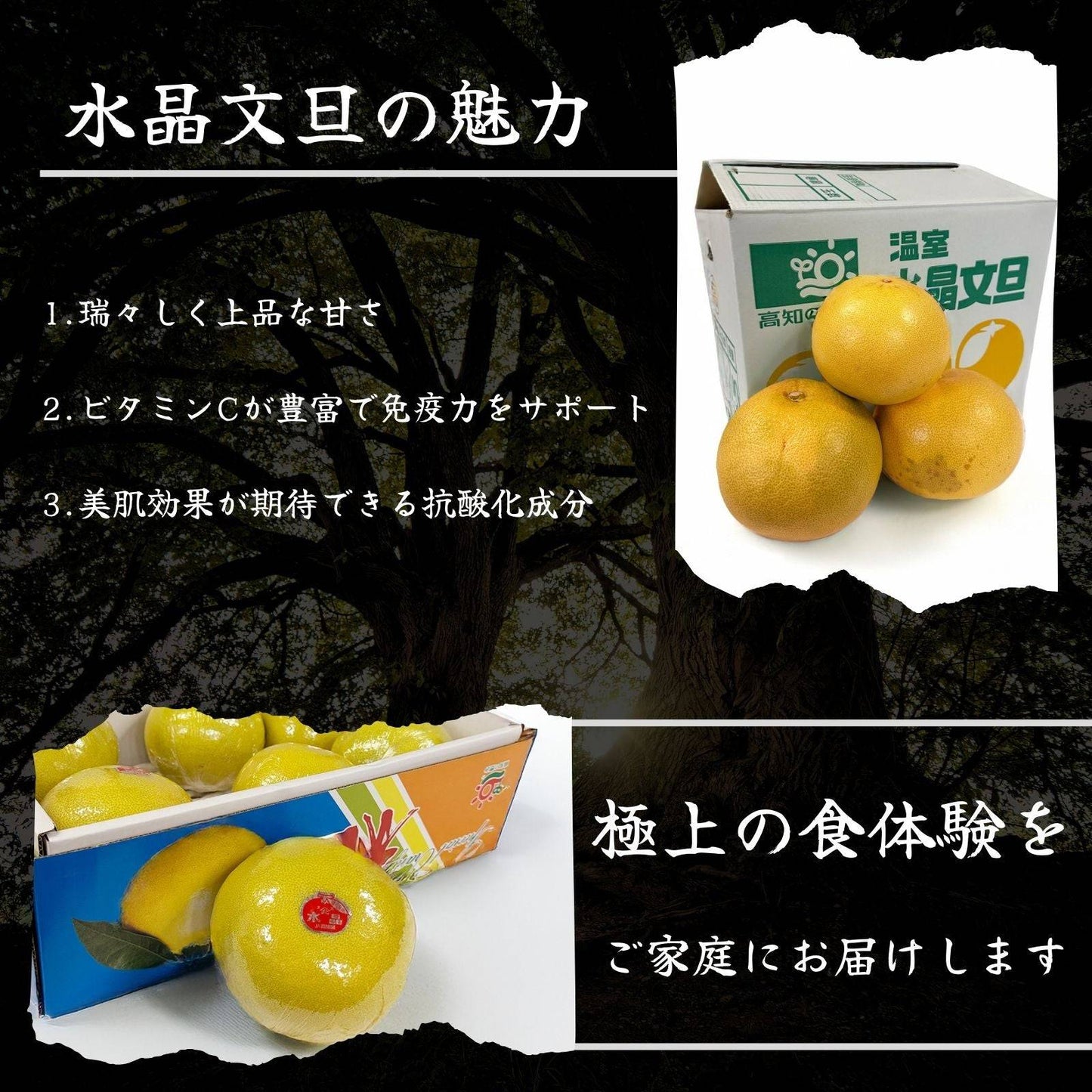 【訳アリ】水晶文旦 ＜量：5kg or 10kg＞