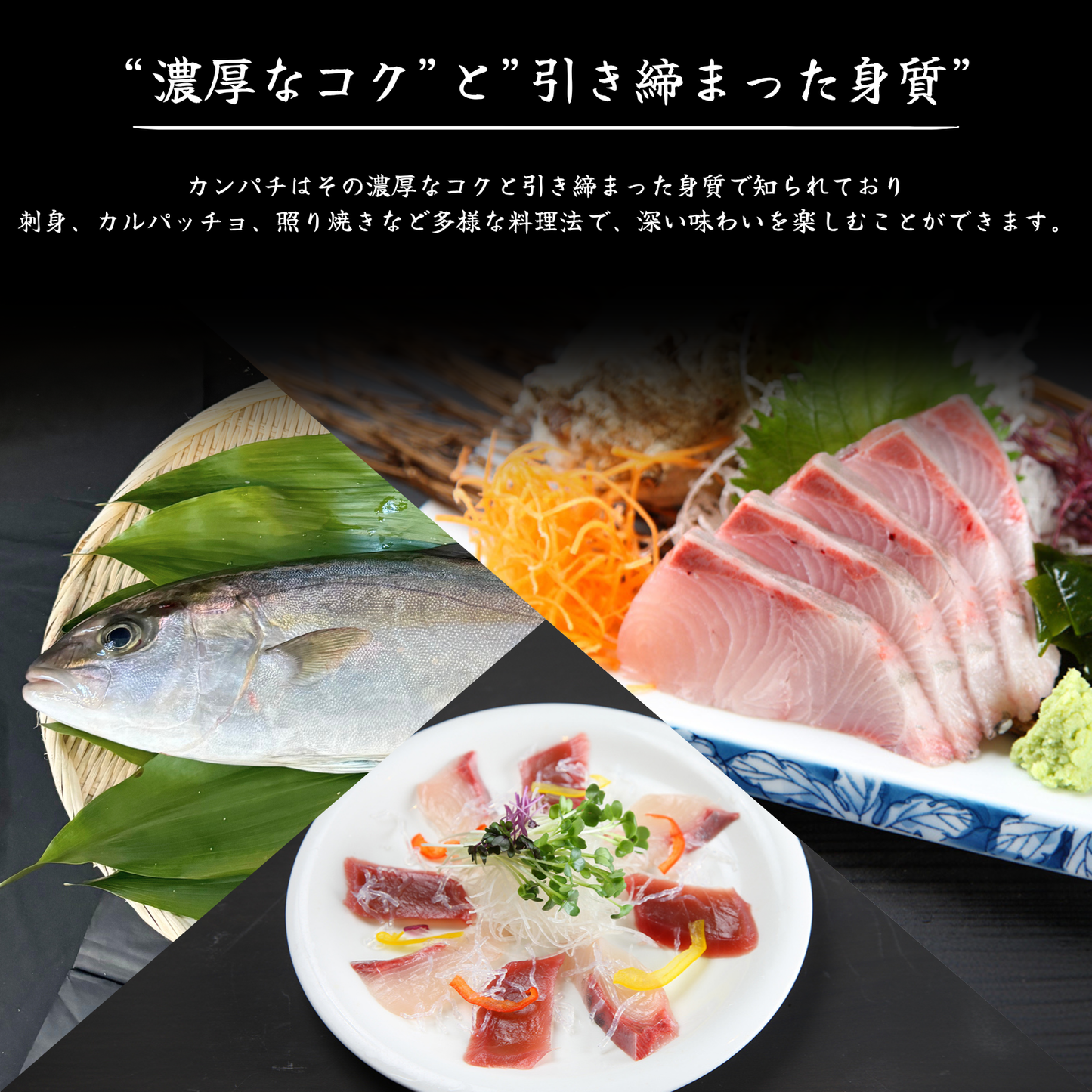 カンパチ ＜刺身1柵　量：300g＞