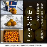 山北みかん 自然の恵みをぎゅっと凝縮した一粒 箱詰め