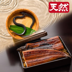 天然うなぎ 長蒲焼きセット ＜匹数：1~3尾　量：110~480g＞