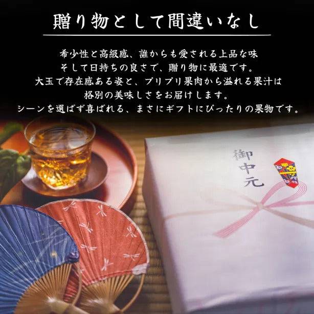 厳選土佐文旦【化粧箱入】 ＜サイズ：小(3㎏)or 大(5㎏)＞